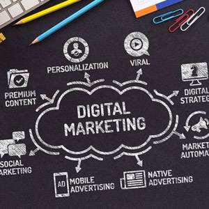 Digital Marketing Expert in Delhi