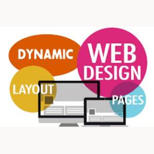 Dynamic Website Designing in Delhi