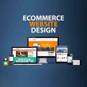 E Commerce Website Designing in Delhi