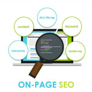 On-Page Optimization in Delhi