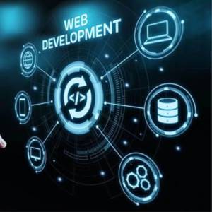 Website Development in Delhi