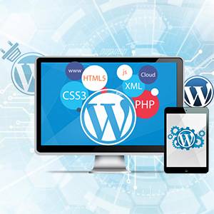 Wordpress Development in Delhi